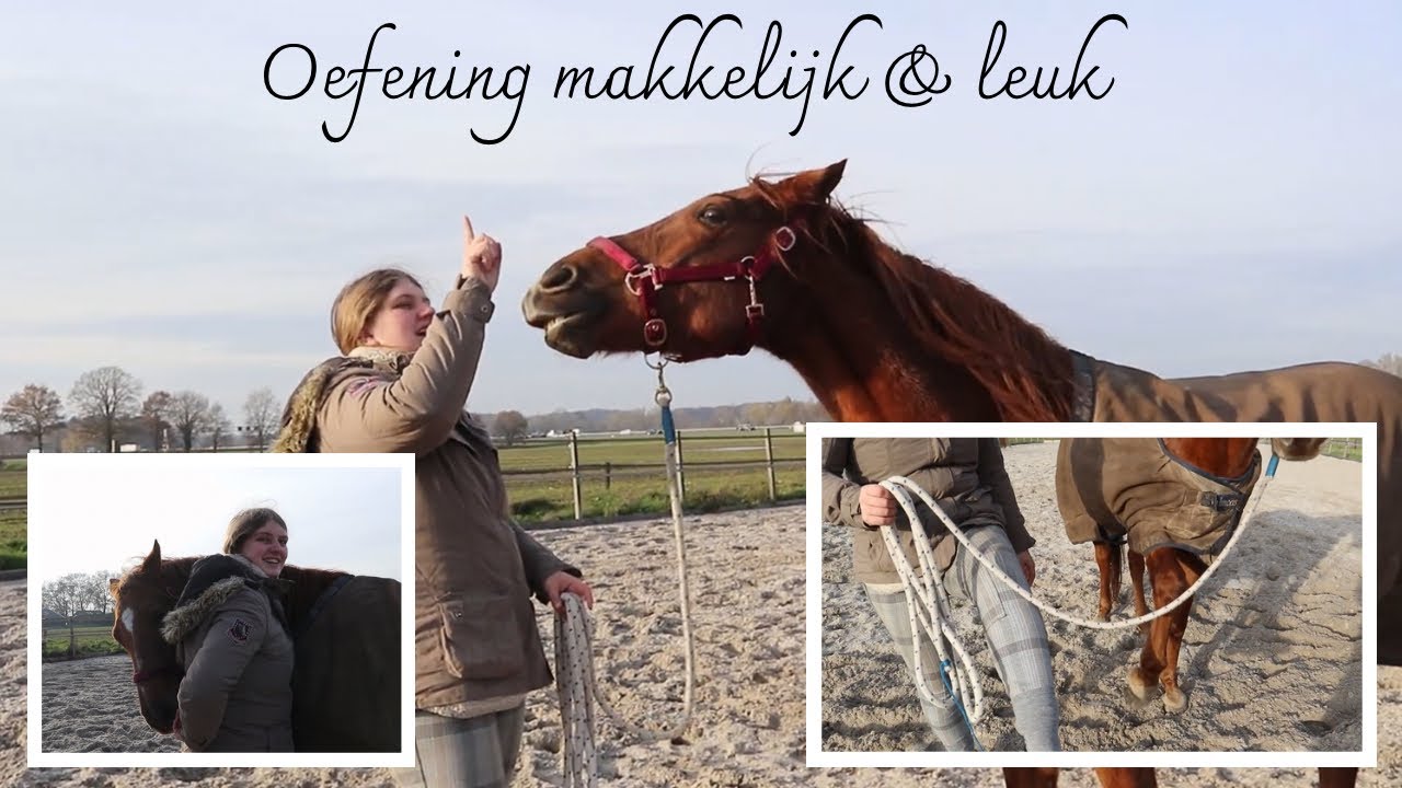 makkelijke oefeningen voor jou en je paard | vrije galop