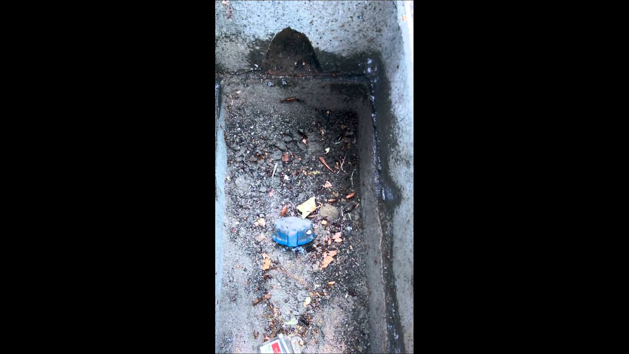 New roach box