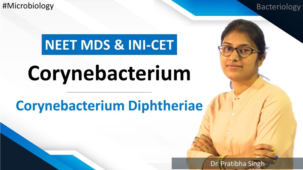 Microbiology | Bacteriology | Corynebacterium Diphtheriae - Corynebacterium | NEET MDS | INI-CET