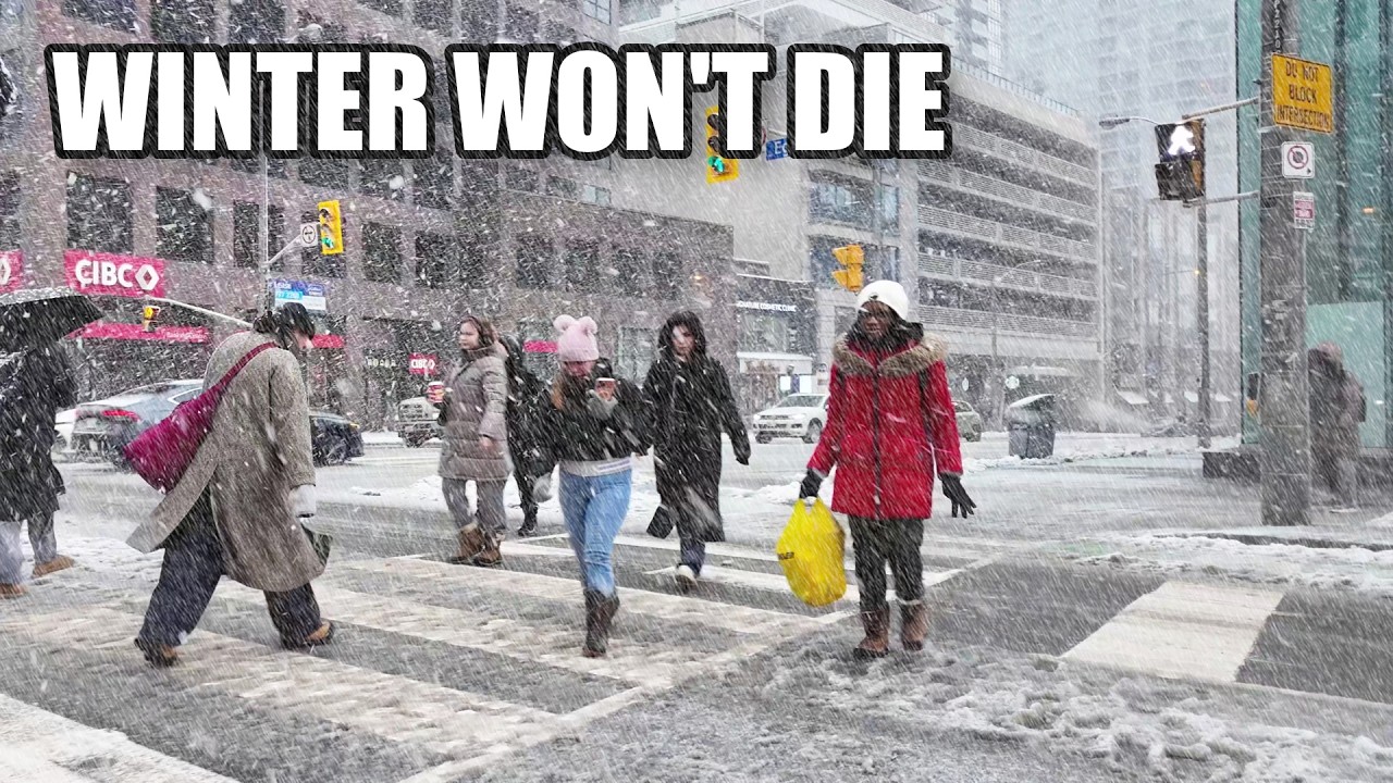 Midtown Snowfall to Downtown Bar | Toronto Walk (March 2026)