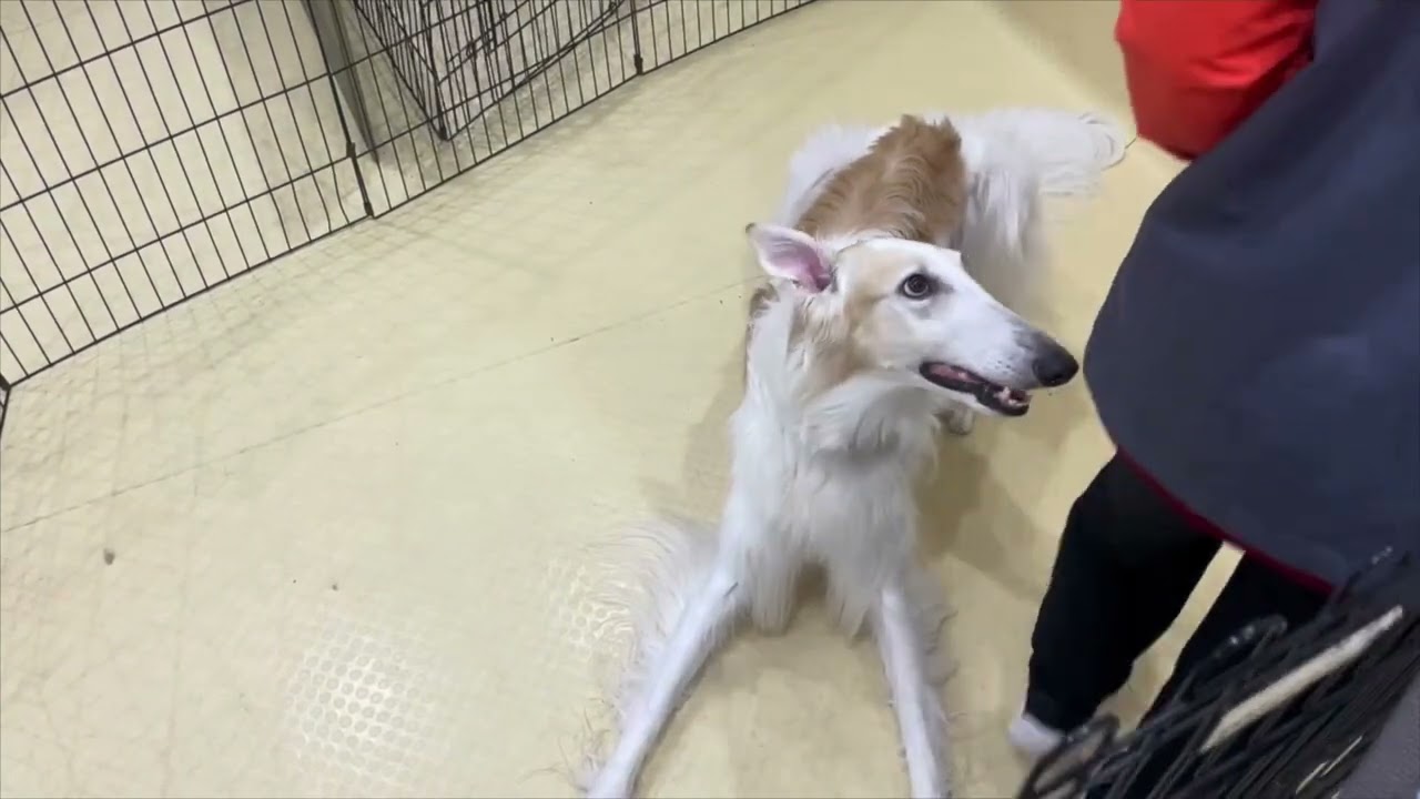 2026.03.17 トレーニングの様子