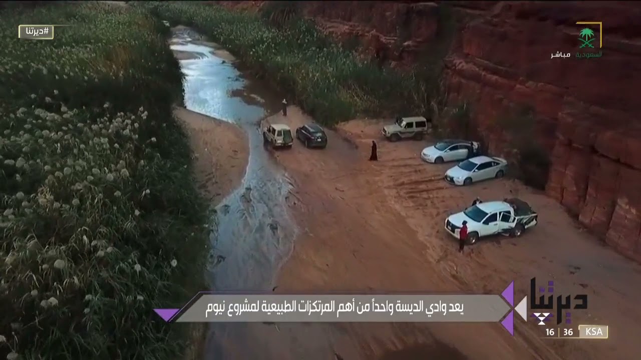 وادي الديسة في #تبوك.. جنة وسط الصحراء تصوير احترافي بـ #عدسة_المواطن خالد الخالدي