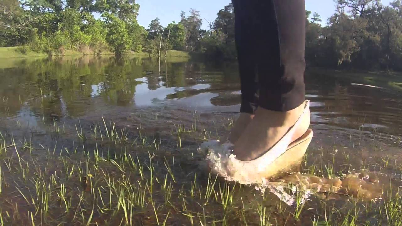 white r2 in pond