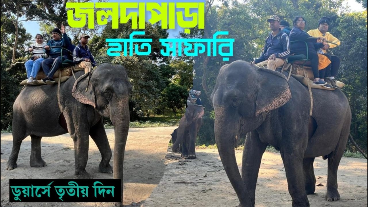 EP - 4॥ জলদাপাড়া হাতি সাফারি- এ এক রোমাঞ্চকর অভিজ্ঞতা ॥ Jaldapara Elephant Safari - Dooars