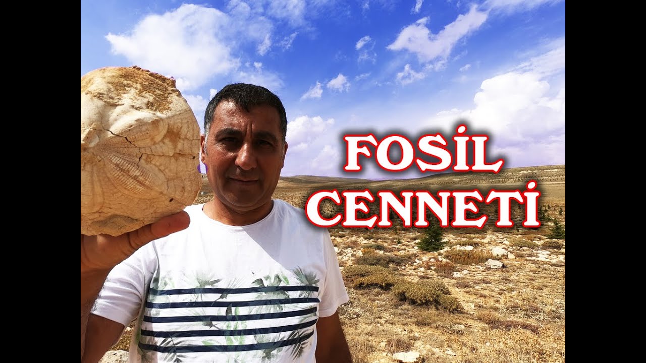 FOSİL CENNETİ
