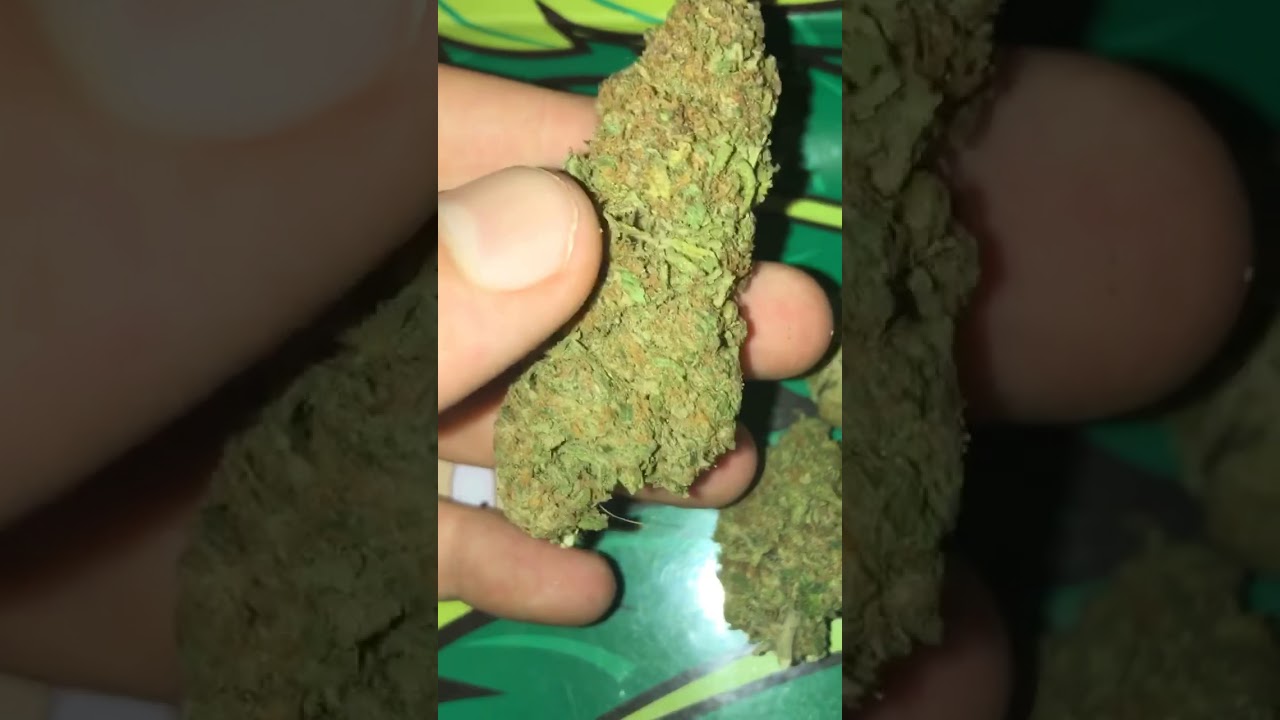 Blackberry train wreck