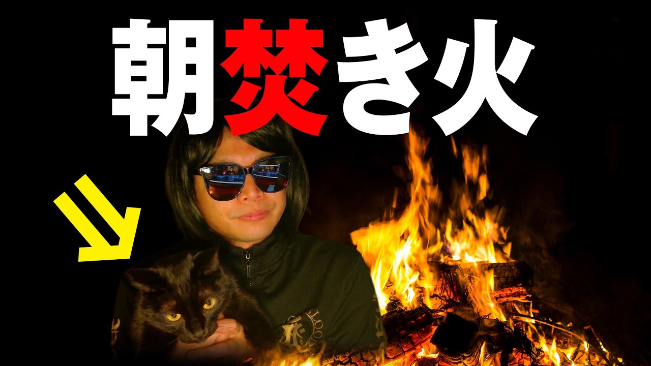 NOテーマな朝しゃべり|猫は最後に登場【焚き火トーク】