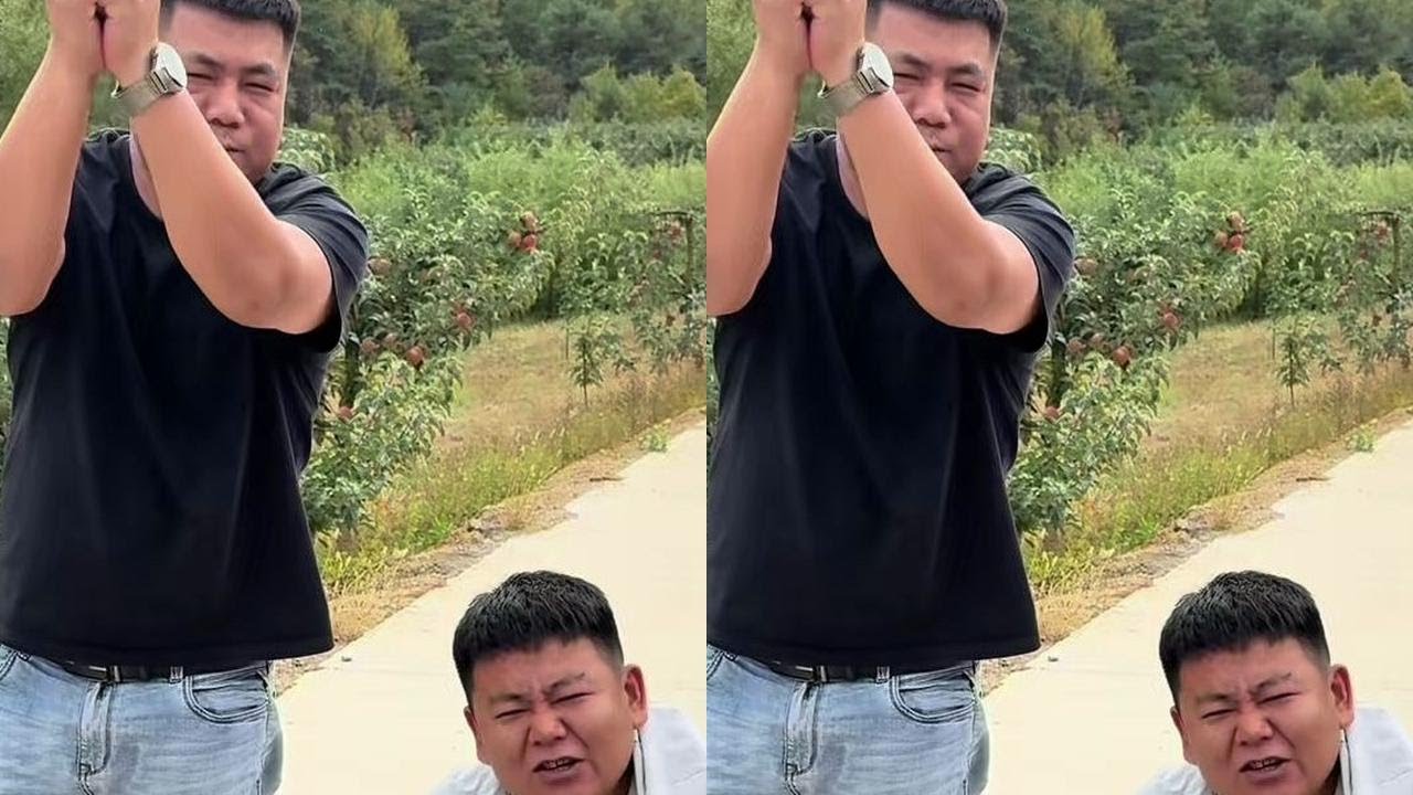 祝大家中秋快乐！这俩小子大过节的也剥削我，今天过节放过他俩了