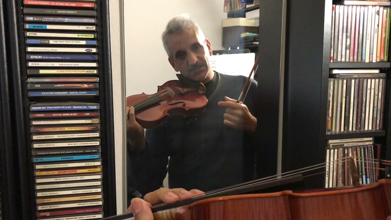 Violino. Forma della mano sinistra. Tecnica intonazione