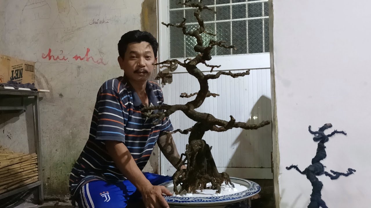 Làm Thân Cây Bon Sai Giả Giống Y Như Thật.KEN MY VLOG 