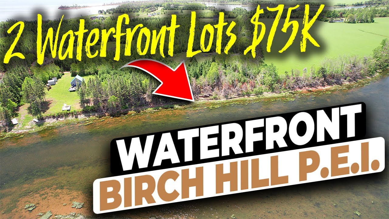 Looking for a fantastic deal on 2 waterfront building lots for the price of one?  Drone's view.
