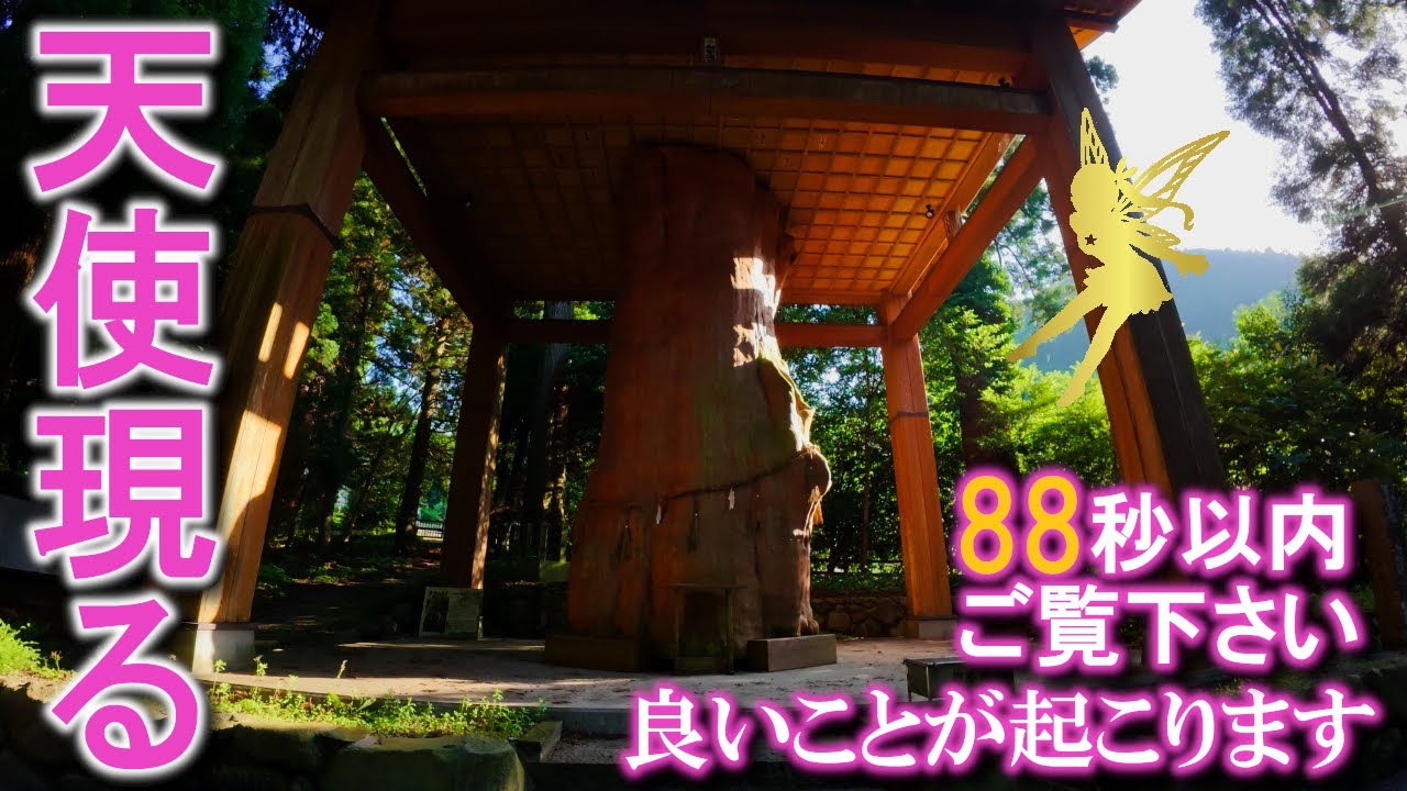⚠️天使の姿が見えたら超強運※次々と良いことが起こり始めます｜阿蘇国造神社遠隔参拝409