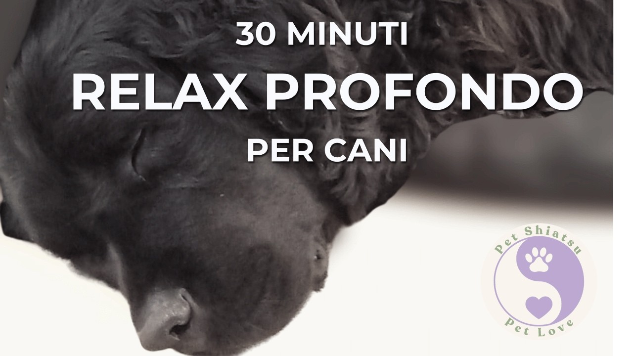 Relax Profondo per Cani