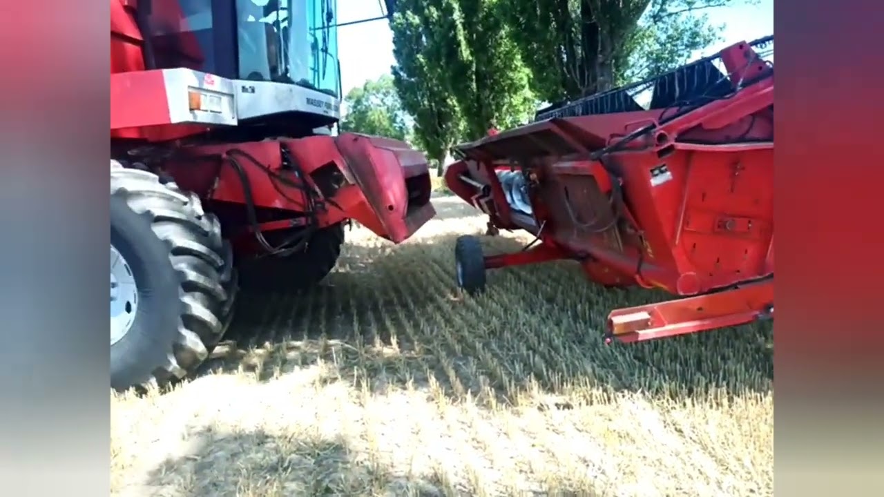 Massey Ferguson 38 / sezon 2022r