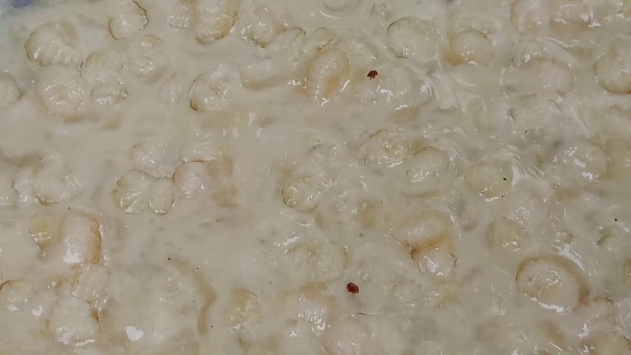 Varroa maggio 2019