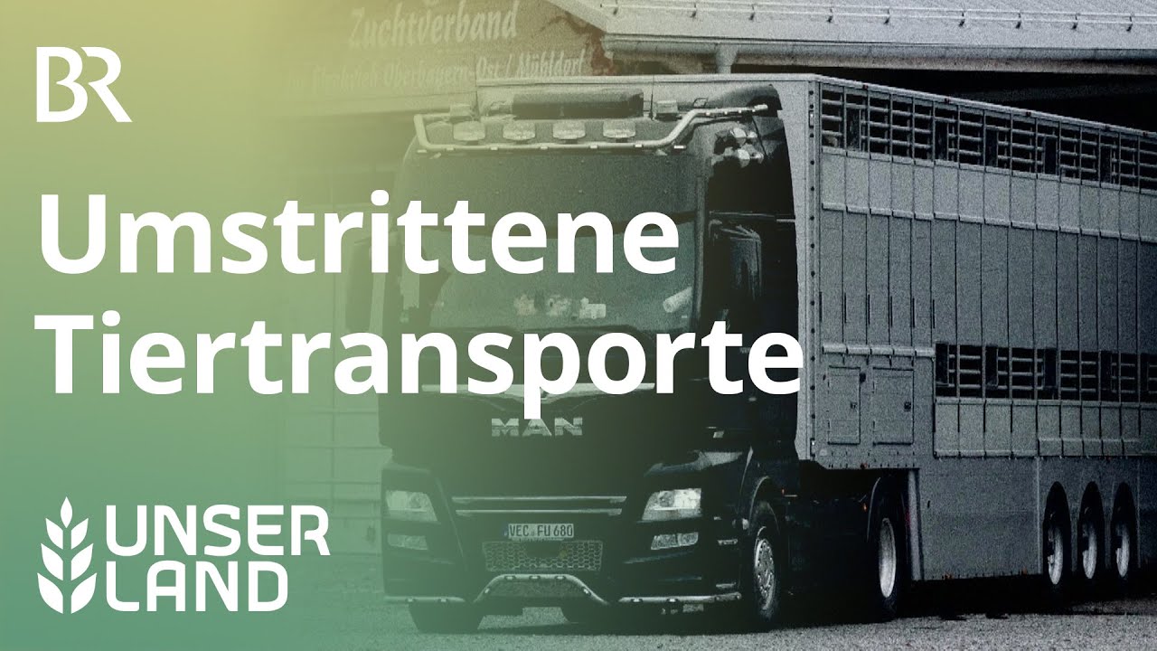 Umstrittene Tiertransporte | Unser Land | BR Fernsehen