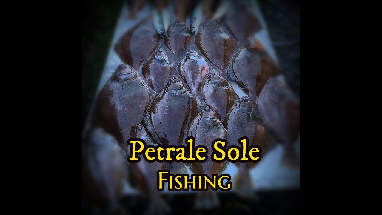 Monterey Bay Monster Petrale Sole fishing