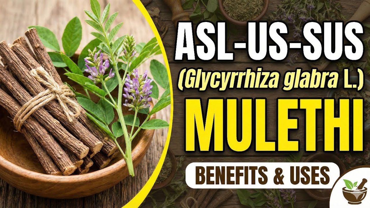 Aslsoos ( Mulethi ) || Unani medicine || Bums ||Advia ||Mufradat ||Notes in description 