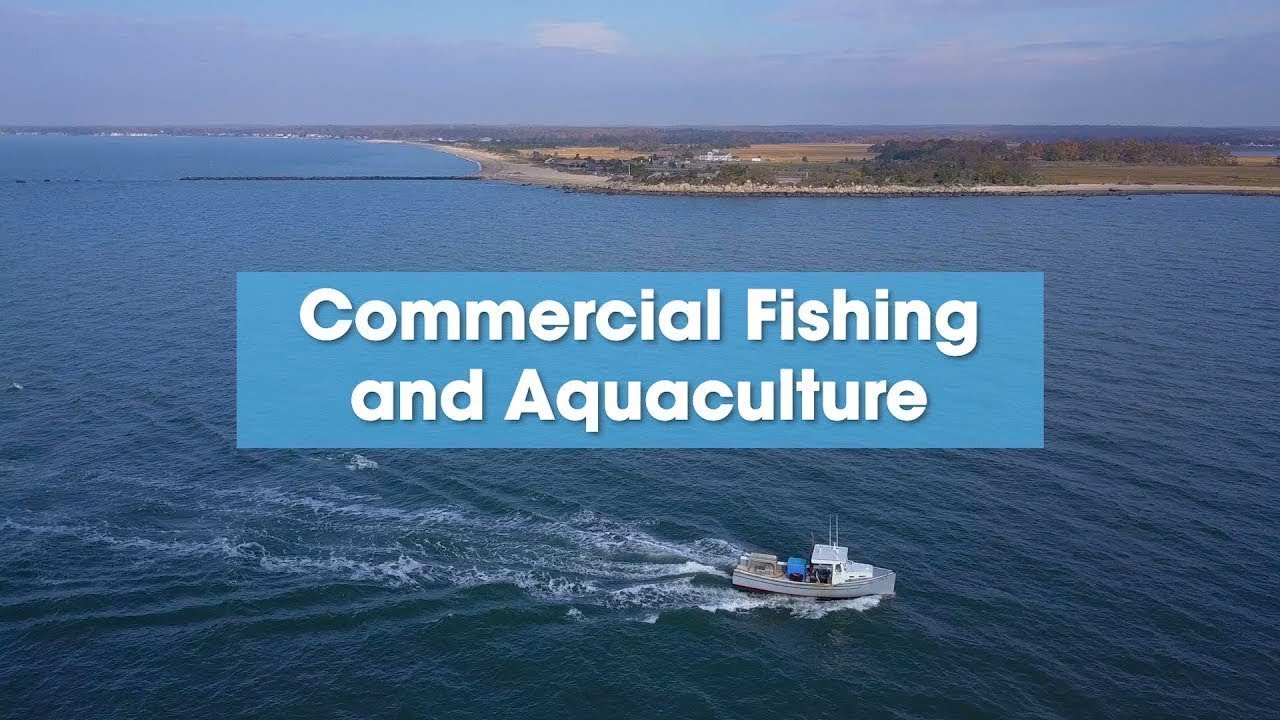 Long Island Sound Blue Plan: Commercial Fishing and Aquaculture
