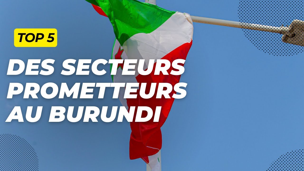 Burundi : les 5 secteurs économiques qui offrent les meilleures opportunités d'investissement.