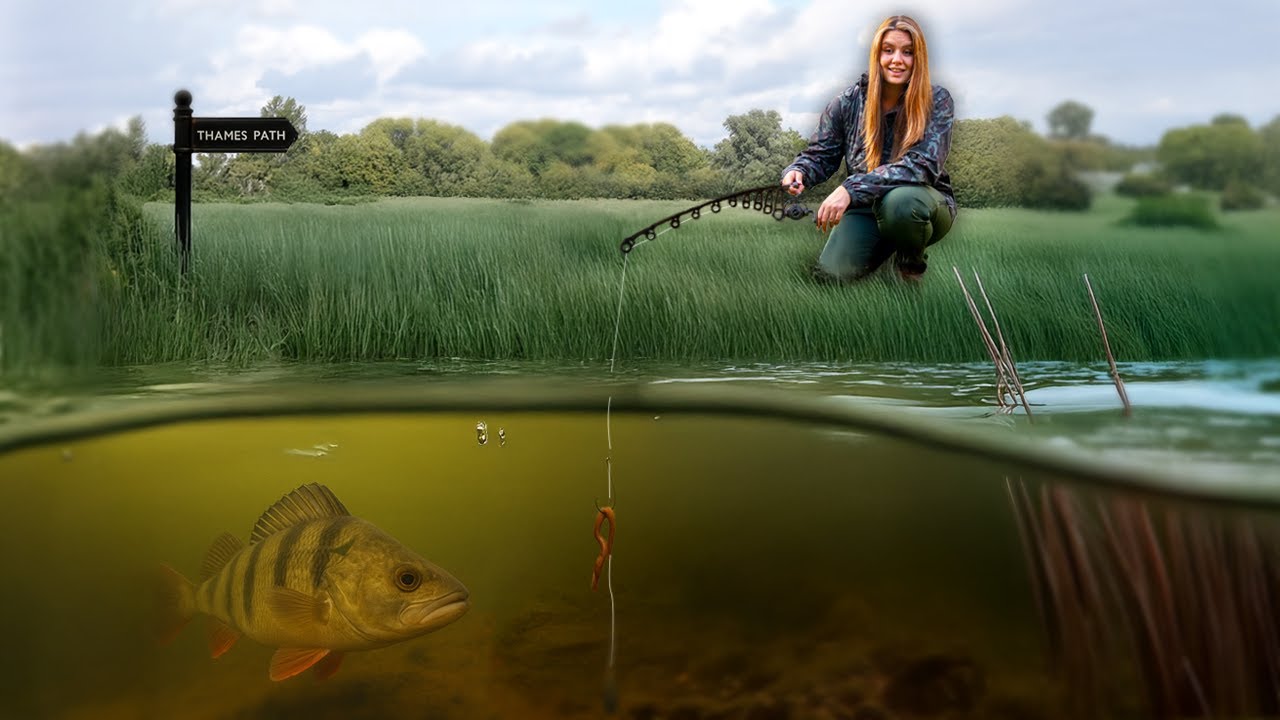 Targeting UK’s Striped Predators! (OUR LUCK...)