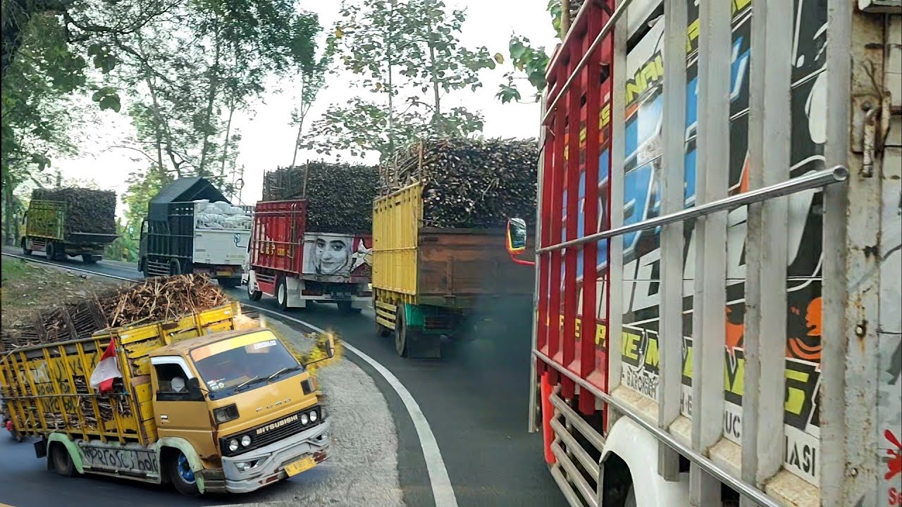 SALING TEMPEL, OL3NG TRUCK UMPLUNG TUA MUAT TEBU SELIP 4 TRUK TEBU SEKALIGUS DI TANJAKAN JALUR LAHOR