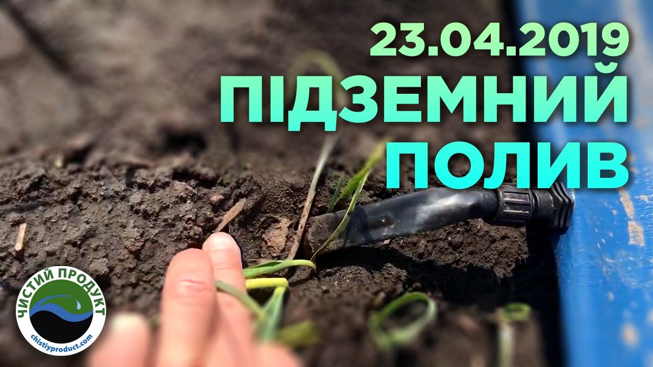 АРХІВ. ЧИСТИЙ ЧАСНИК: ЯК ЦЕ ЗРОБИТИ?