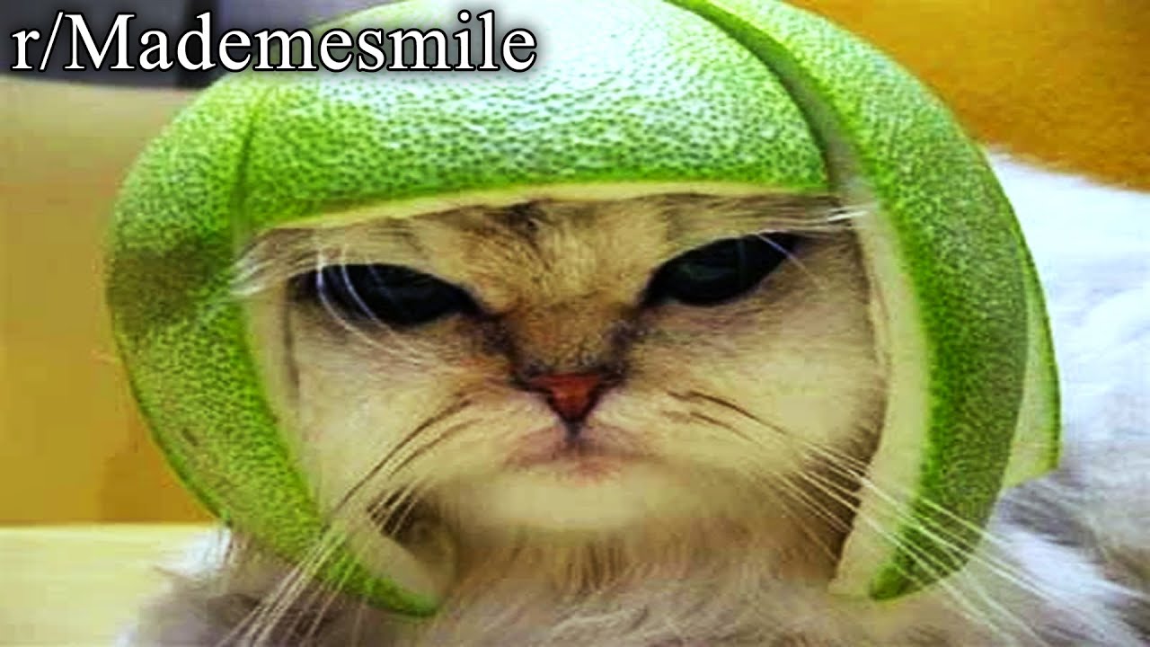 r/Mademesmile | kinda fresh doe