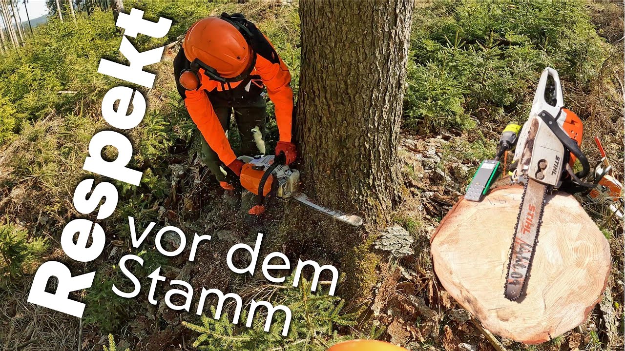 Dicke Fichten fällen !🌲Holzrücken dicker Fichten ! Stihl | Deutz-Fahr | Oehler Seilwinde 5,5 t