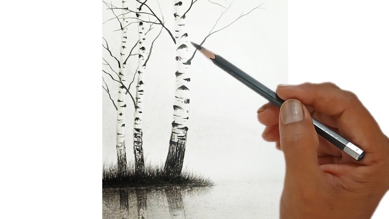 How to draw beautiful birch tree by pencil with easy steps.
