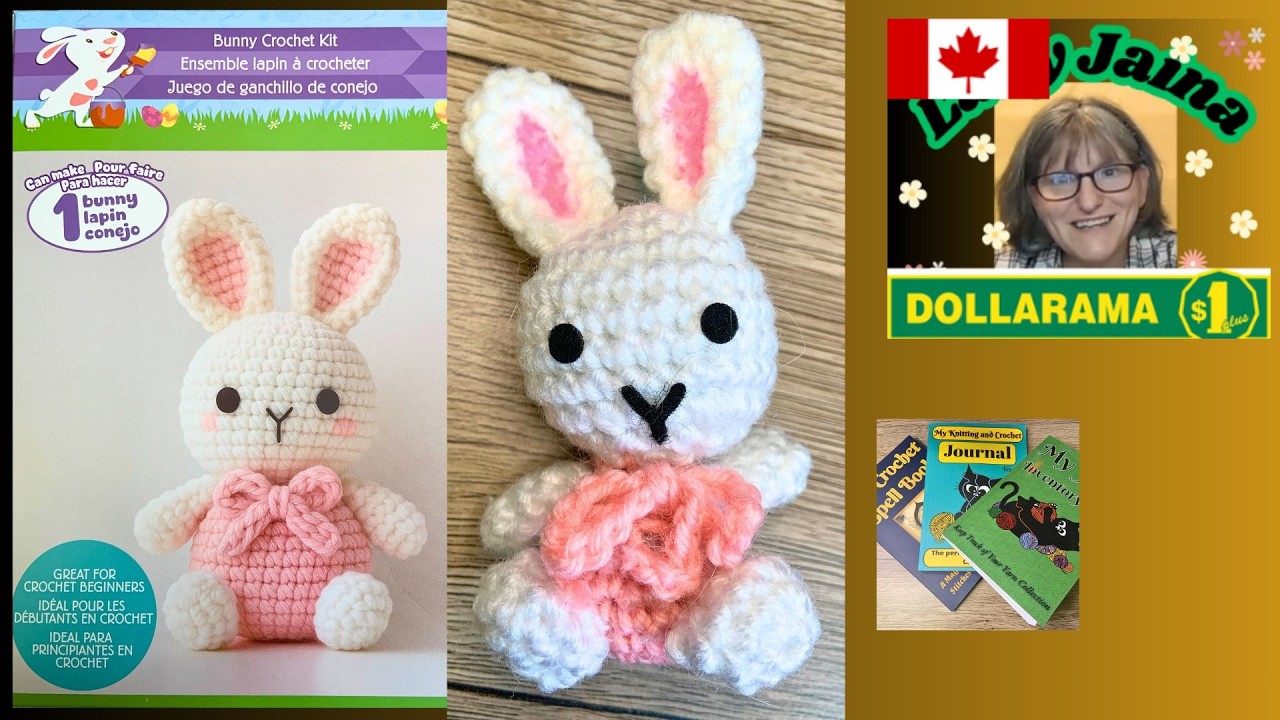 Dollarama crochet kit 