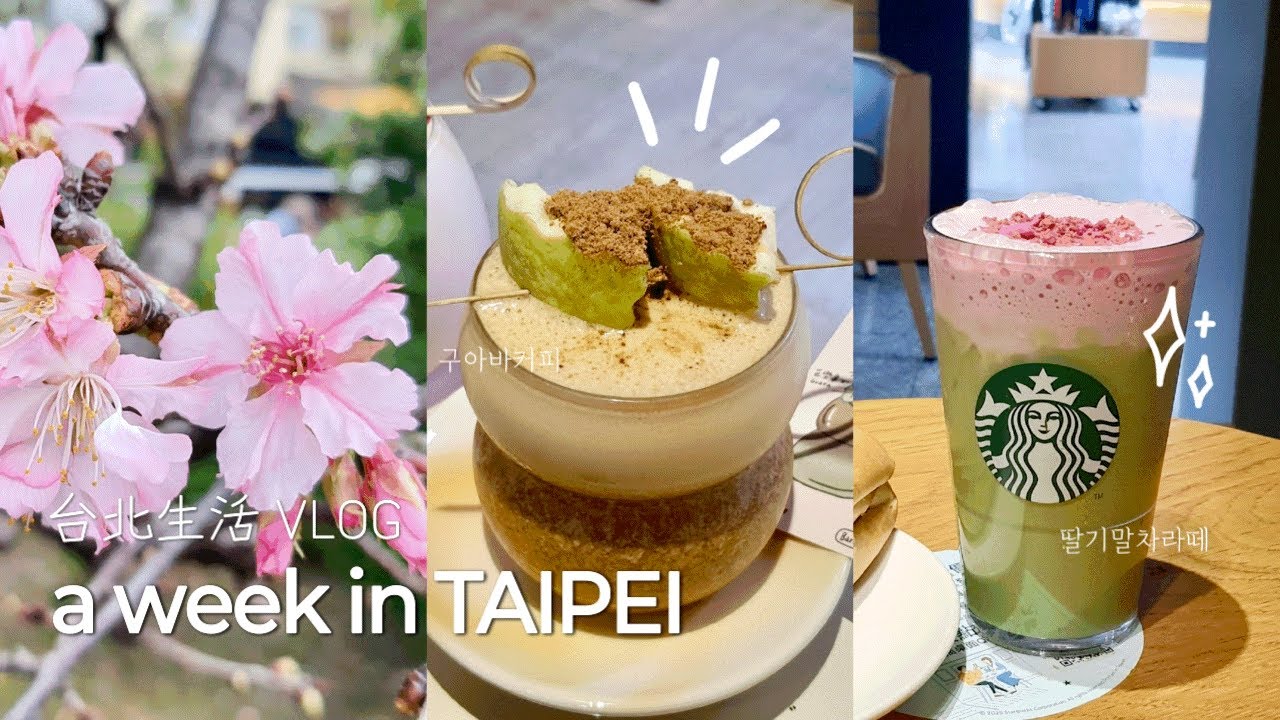 대만일상 브이로그 🌸 구아바 커피와 딸기우유로 상큼하게 시작한 한주, 그리고 벚꽃놀이도 살짝 곁들인... 住在台北的韓國太太的日常生活