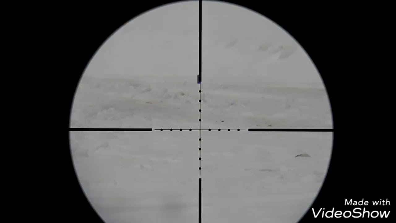 Long range target shooting [ fx streamline .22 ]