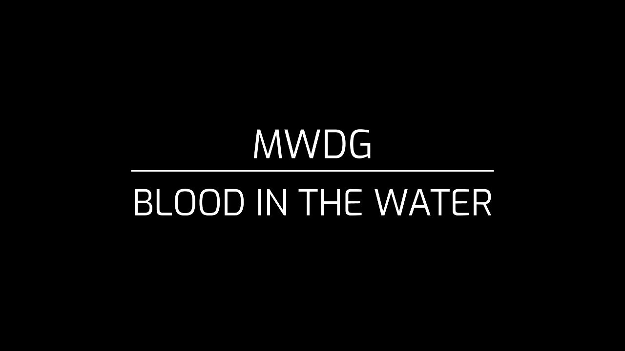 MWDG - Blood In The Water