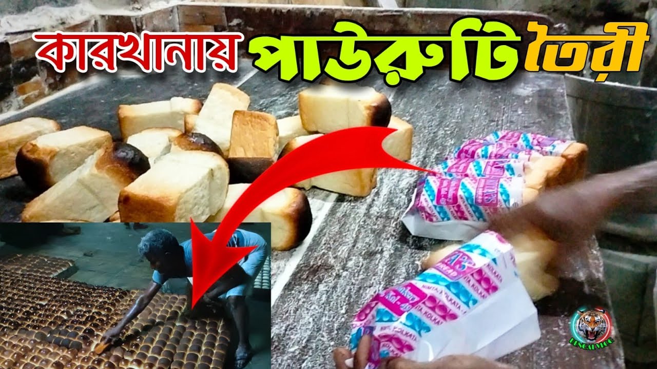 Bread Making in factory | কারখানায় পাউরুটি তৈরি | Bakery Bread Making | Bengal VLOG