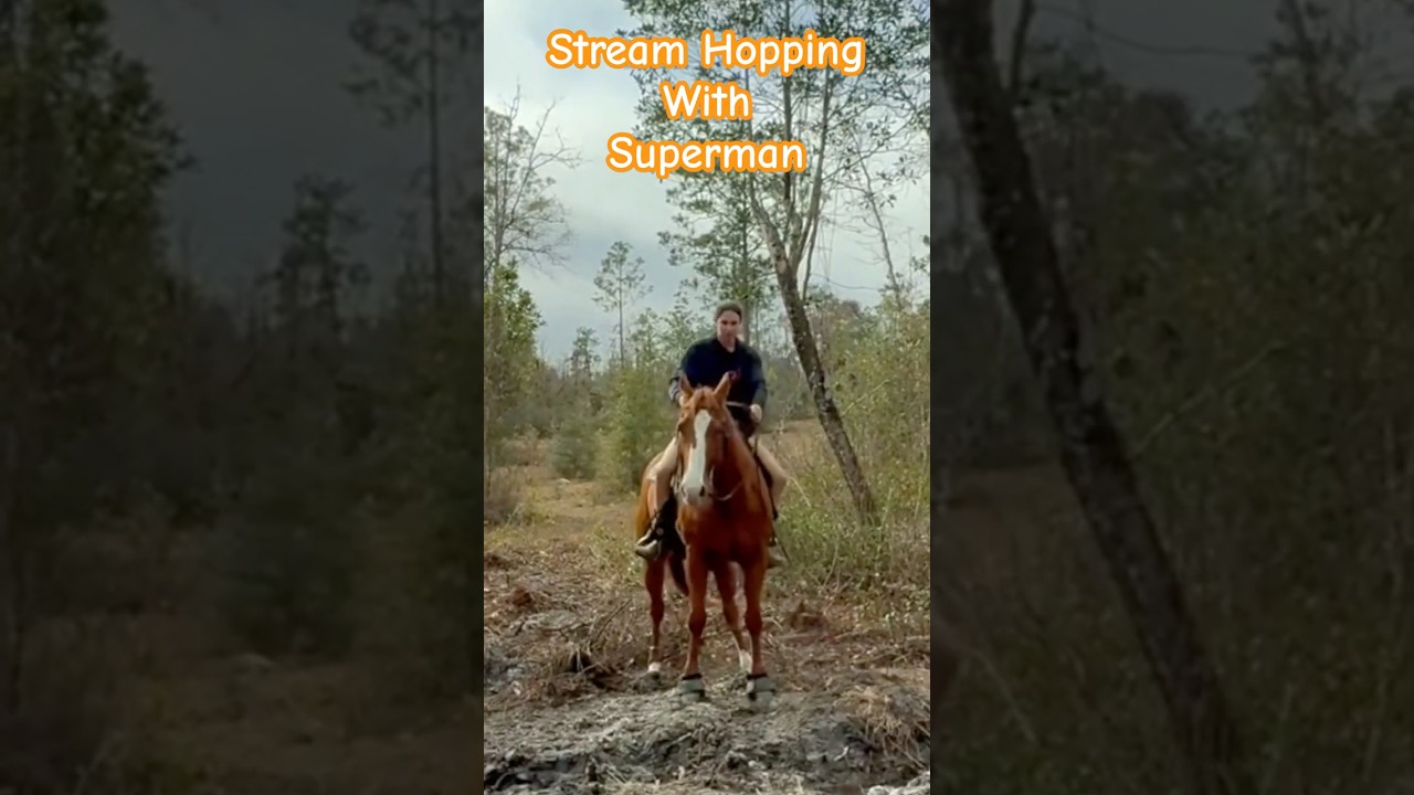 Супермен прыгает через ручей во время семейной прогулки по ферме.
