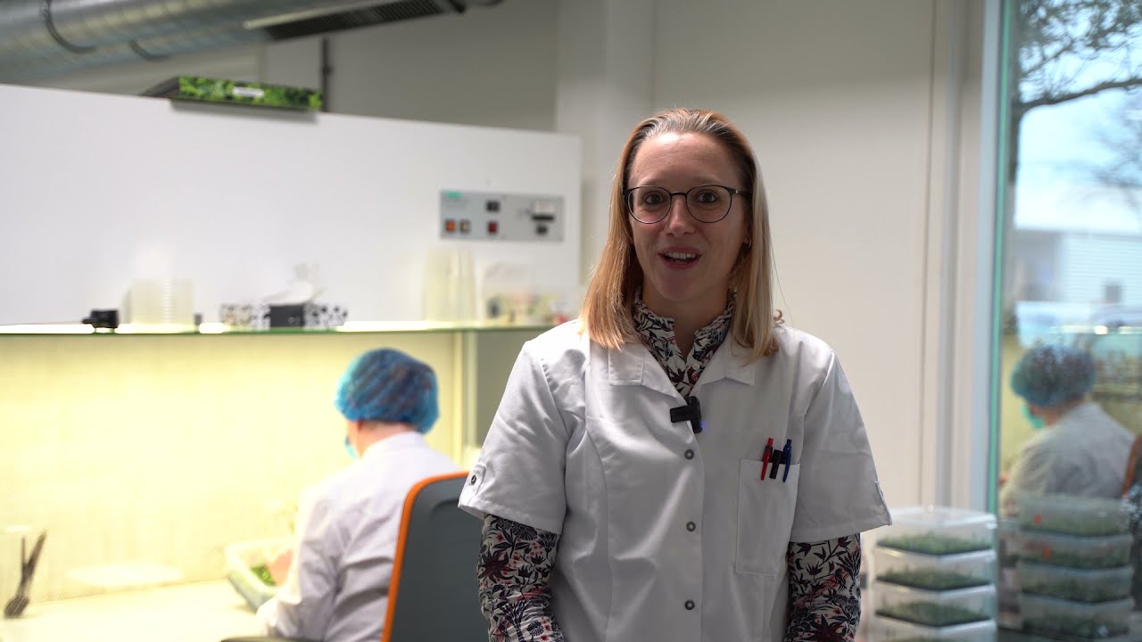 Productie- of Operationeel manager gezocht - Vitro Plus I Bedette van de Zande
