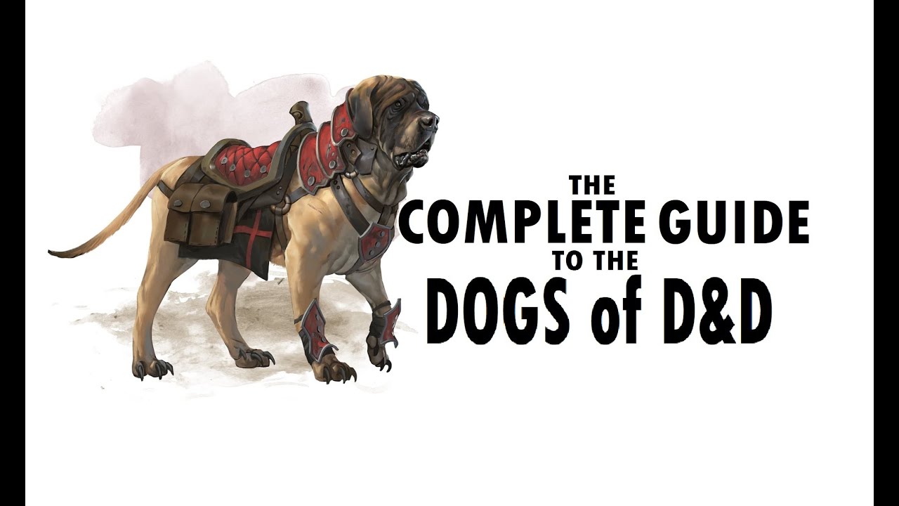 Dungeons and Dragons: Complete Guide to Dogs