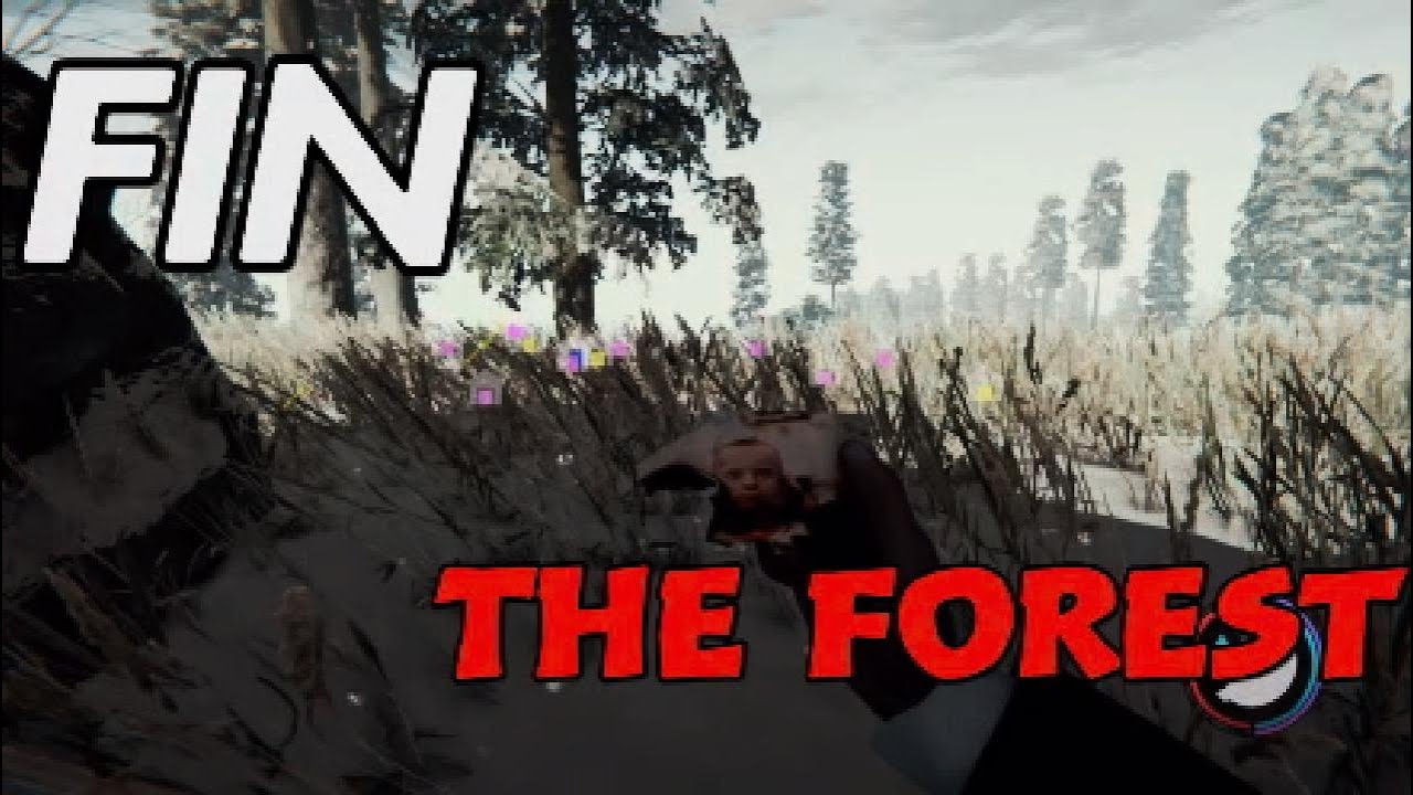 THE FOREST FR - FIN CHOIX NUMÉRO 2 !