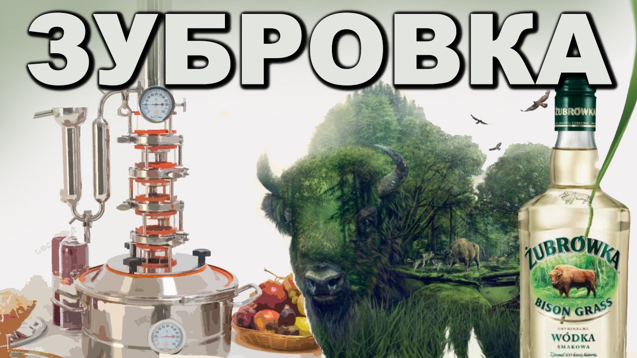 Зубровка. Рецепт из СССР