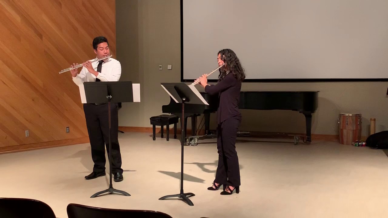 Six Duos Op. 27, No. 1 by Carl Stamitz
