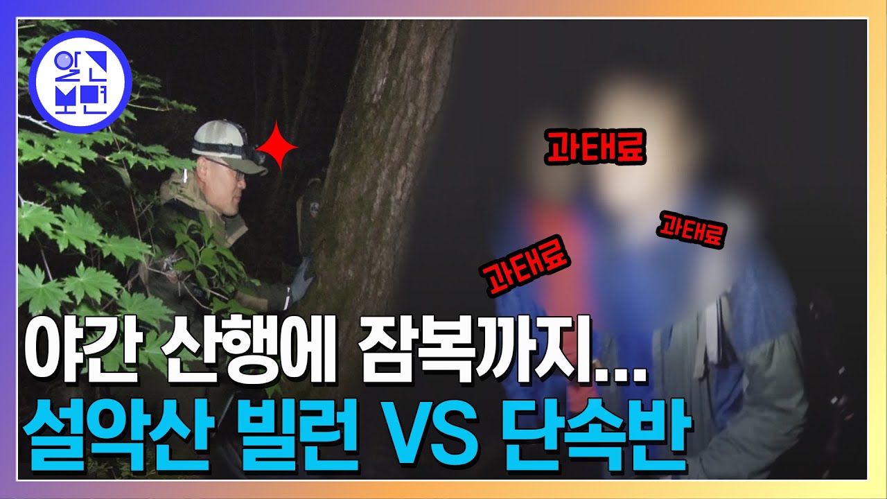 설악산 흡연 과태료 60만 원! 국립공원 불법 집중 단속 24시