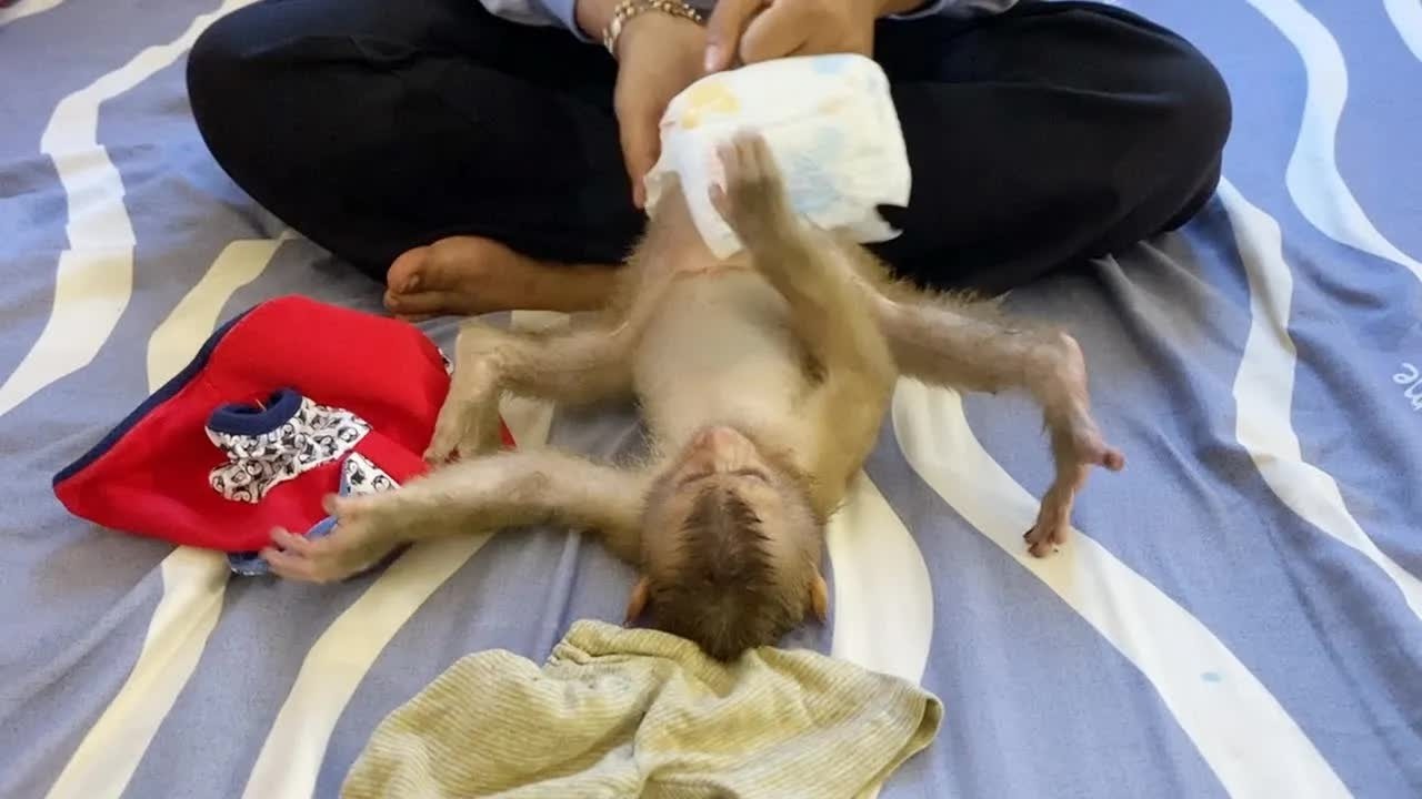 DAM Using His Unique Style While Change New Diaper