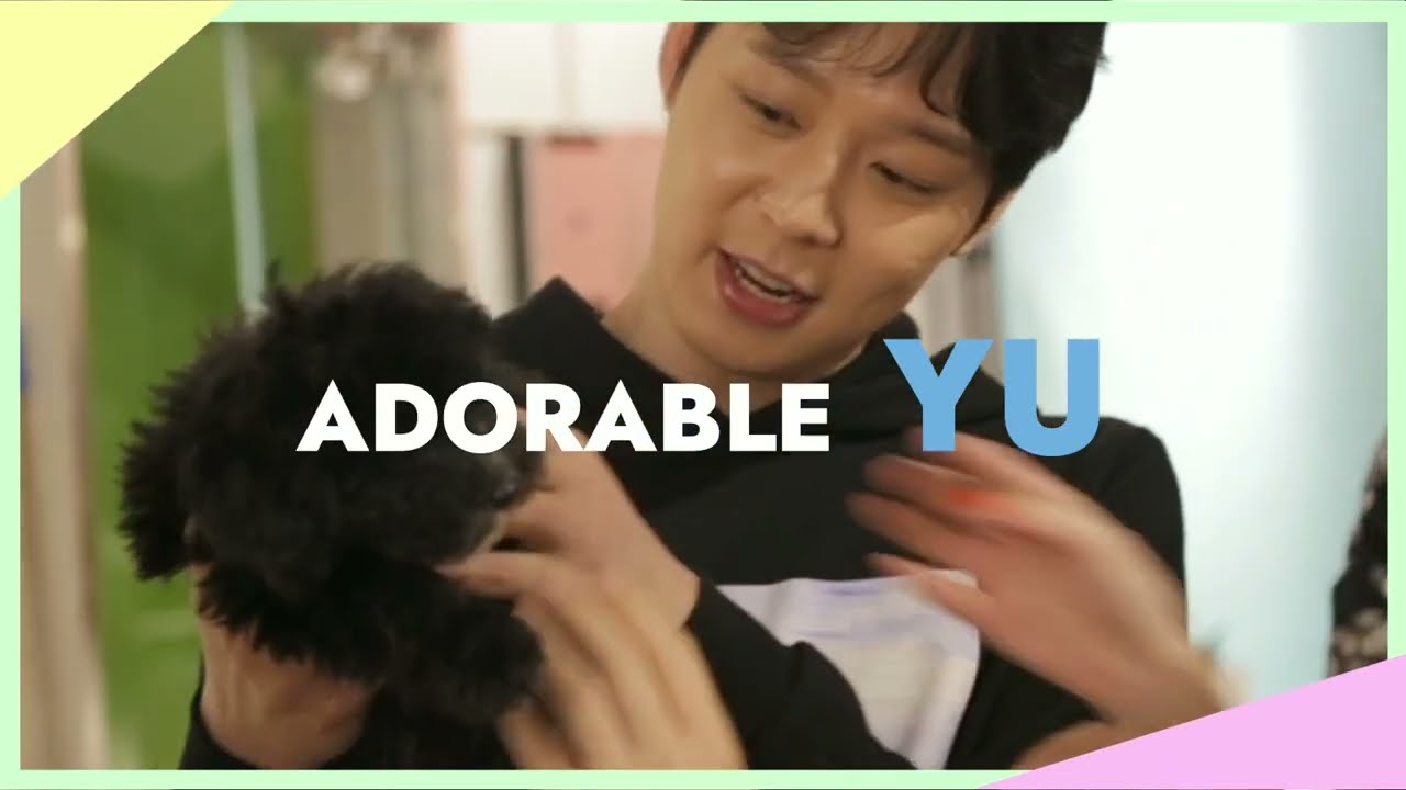 YU AND YOUR DAY : [Just The Way YU Are] Fans Project