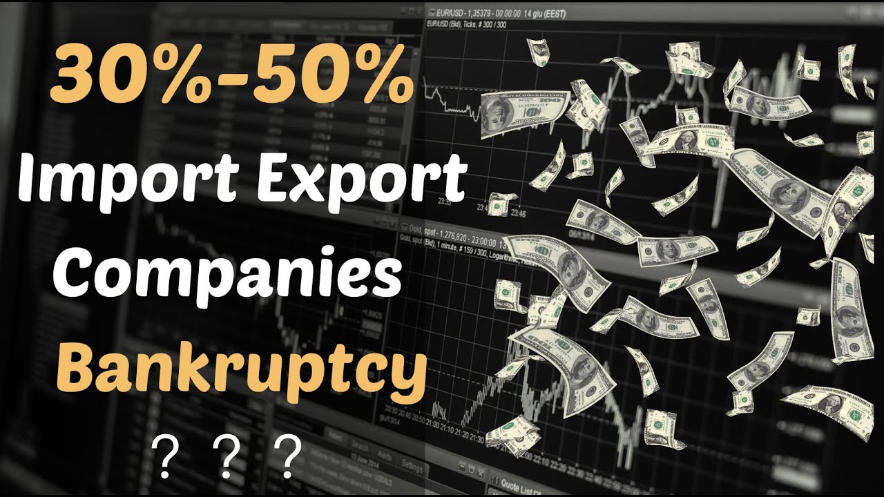 Global Trade Crisis: 30%-50% of Import-Export Companies Facing Bankruptcy - What's the Solution?