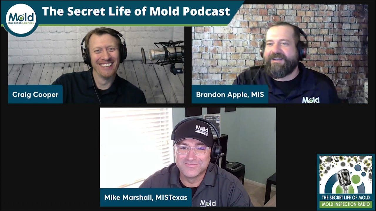 More Than Mold: Specialty Sampling 101 – Mold Sampling Series Part 4