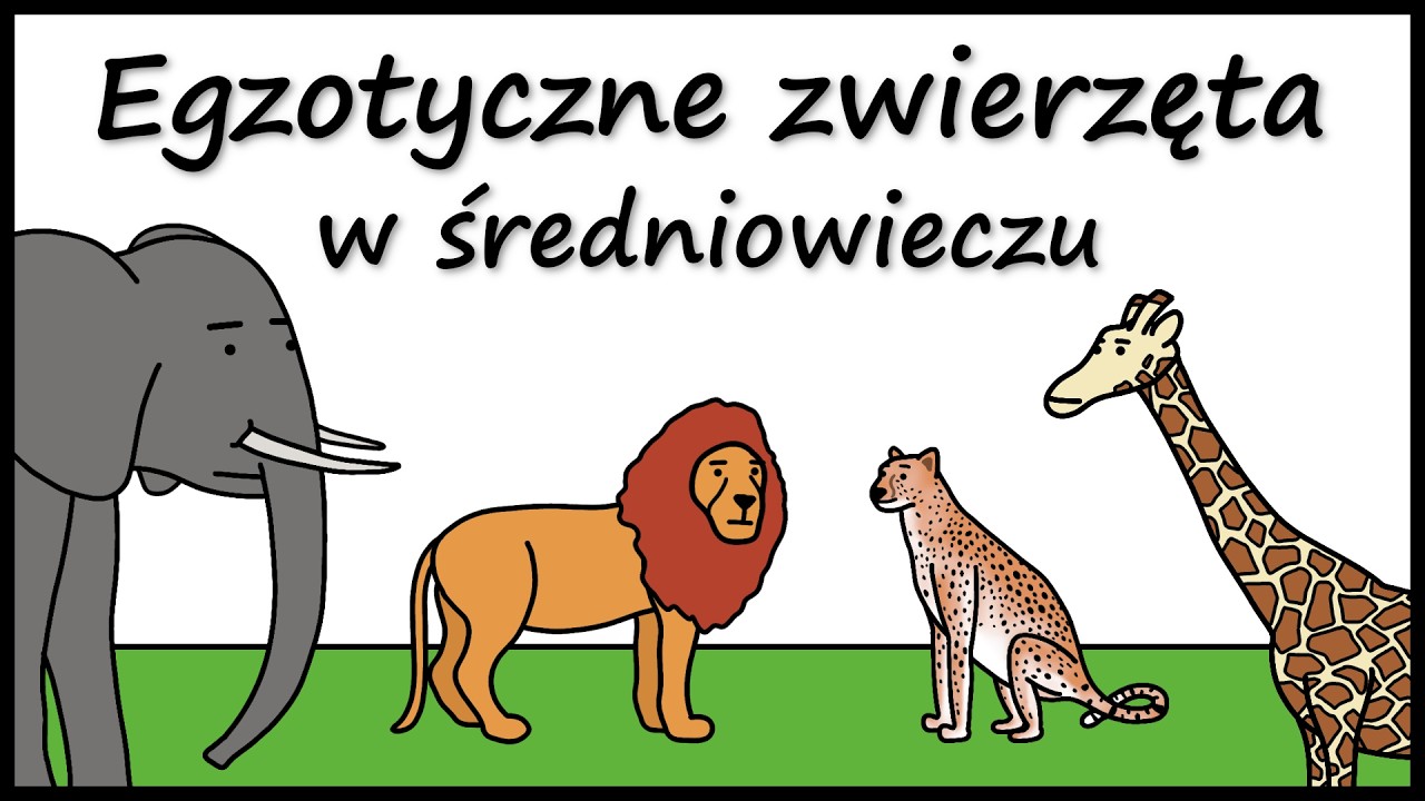 Słoń na zamku, żyrafa w stodole – egzotyczne zwierzęta w średniowieczu
