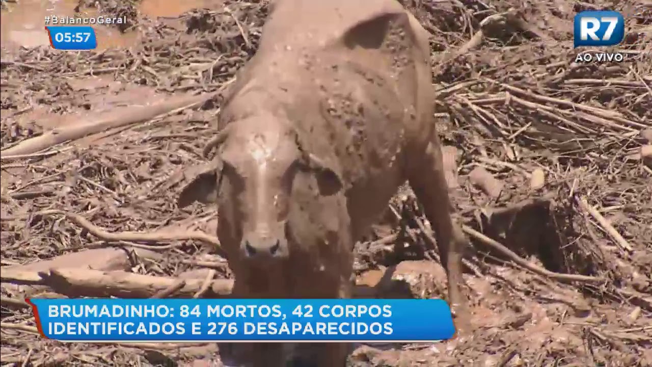 AO VIVO I Bruno Peruka comanda vers&atilde;o exclusiva do Balan&ccedil;o Geral