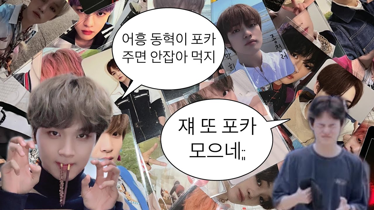 [시즈니 브이로그] 해찬, 천러 포카 드볼 여정기🚀 • 준등기깡 • 바인더 정리 • 해프 천프 브이로그🐻🐬