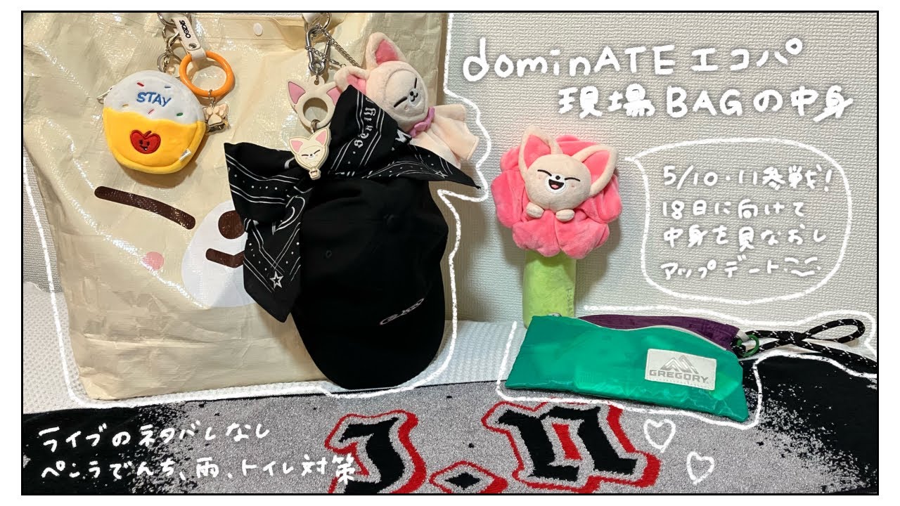 【ネタバレ無】Stray Kids dominATEエコパスタジアム🏟現場バッグの中身【雨対策・ペンラ電池切れ問題・トイレ対策】